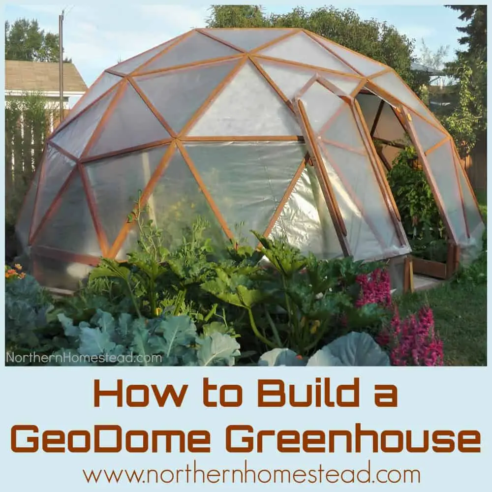 Geodome Style