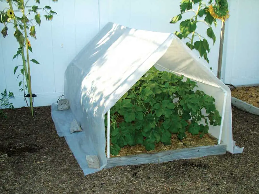 Easy PVC Pipe A-Frame Greenhouse 
