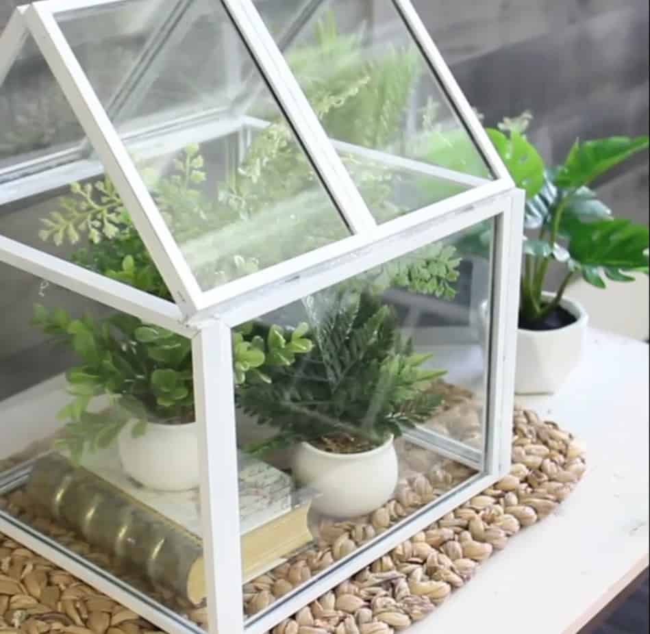 Picture Frame Table Top Greenhouse