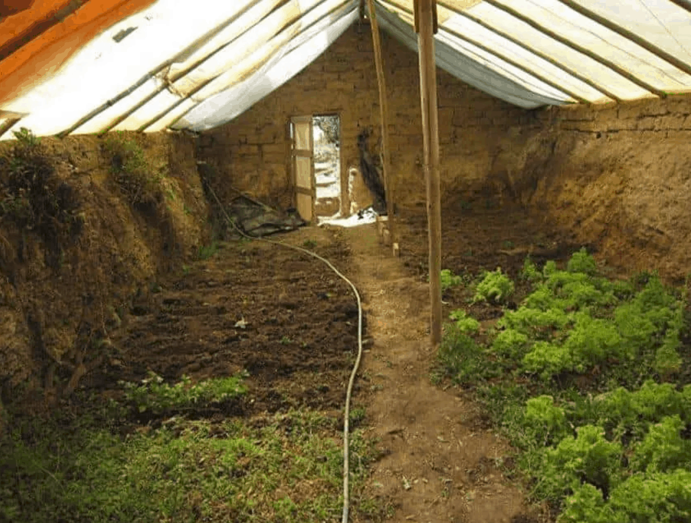 In-Ground Greenhouse