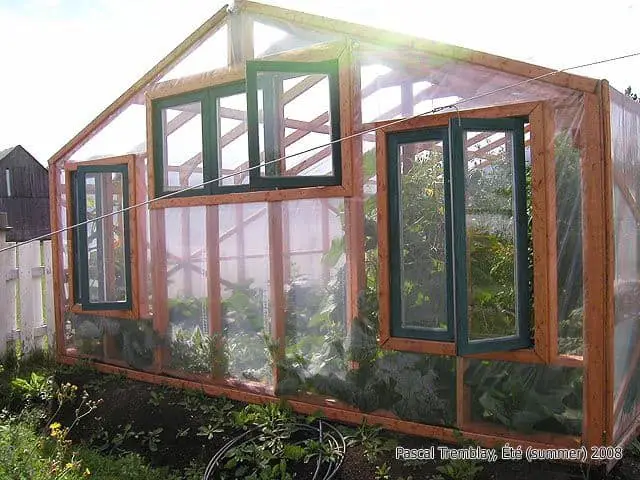 Reclaimed Windows on Traditional Greenhouse